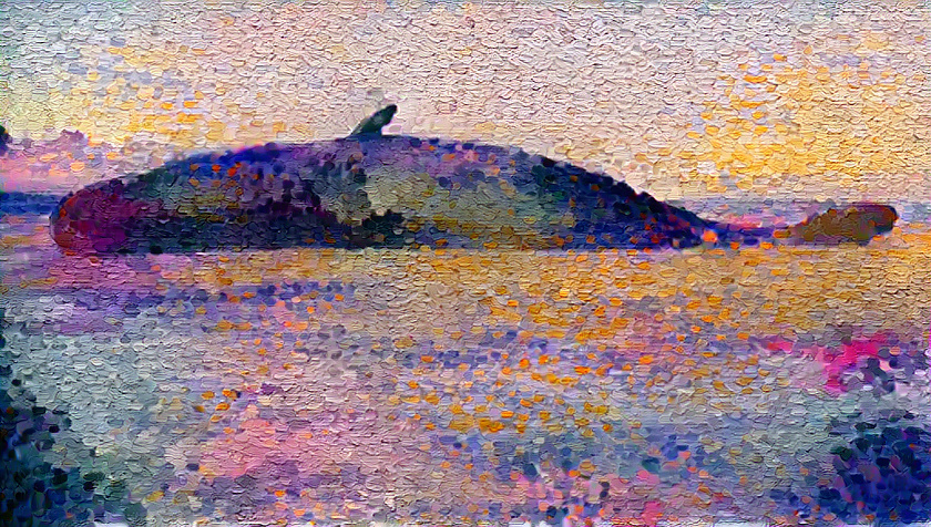 Whale